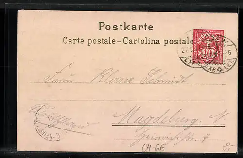 Lithographie Genève, Lac et le mont blanc