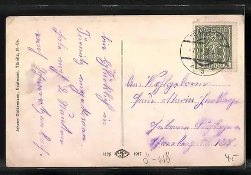 AK Türnitz, Ortsansicht mit dem Eibel