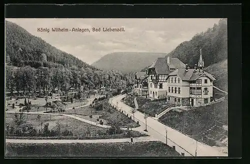 AK Bad Liebenzell, König Wilhelm-Anlagen