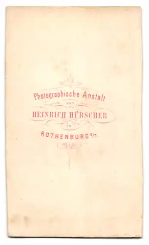 Fotografie Heinrich Hübscher, Rothenburg a. T., junge Frau im dunklen Kleid posiert vor einer Studiokulisse