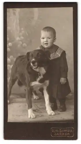 Fotografie Alfr. Schreiber, Jarmen, Portrait Kleinkind im Kleidchen mit grossem Hund im Atelier