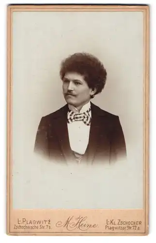 Fotografie M. Heine, Leipzig-Plagwitz, Zschochersche Str. 7b, Portrait Herr mit Schnauzbart & Naturgelocktem Haar