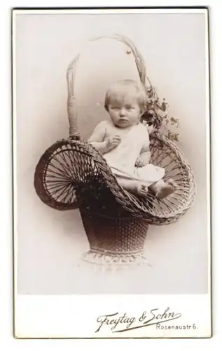 Fotografie Freytag & Sohn, Nürnberg, Rosenaustrasse 6, Kleinkind im Korb sitzend
