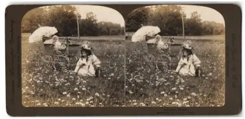 Fotografie American Stereoscopic Co., New York / NY, Kleinkind im Kinderwagen und Mädchen beim Gänseblumen pflücken