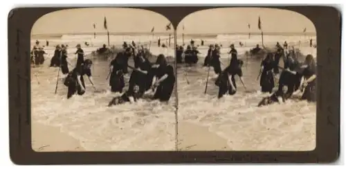 Stereo-Fotografie American Stereoscopic Co., New York / NY, Frauen in Bademode spielen in den Meereswogen