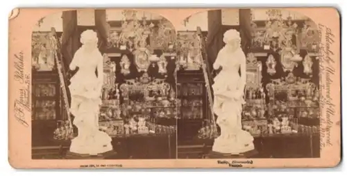 Stereo-Fotografie J. F. Jarvis, Washington D.C. / WA, Statue Vanity