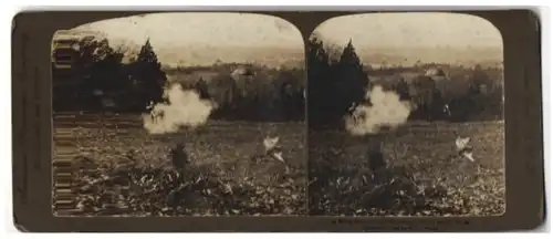 Stereo-Fotografie American Stereoscopic Co., New York / NY., a Wing Shot, Quail Hunting in the West, Wachteljagd