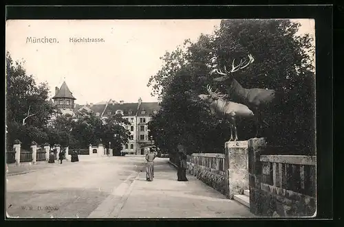 AK München, Höchlstrasse mit Hirschstatuen