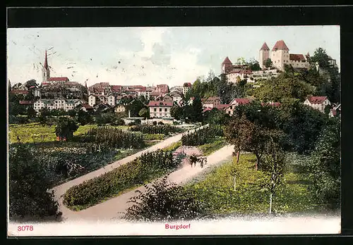 AK Burgdorf, Ortsansicht mit Blick zur Burg