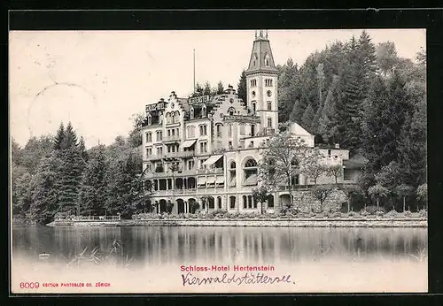 AK Hertenstein, Schloss Hotel Hertenstein mit Blick über den See