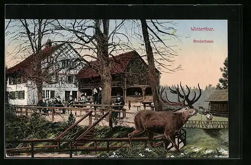AK Winterthur, Gasthaus Bruderhaus