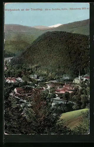 AK Weissenbach an der Triestling, Ortsansicht mit Kirche