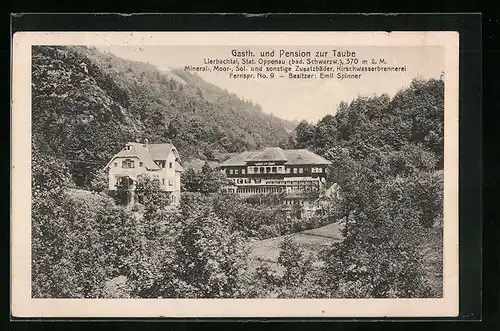 AK Oppenau /Schwarzwald, Gasthof und Pension zur Taube