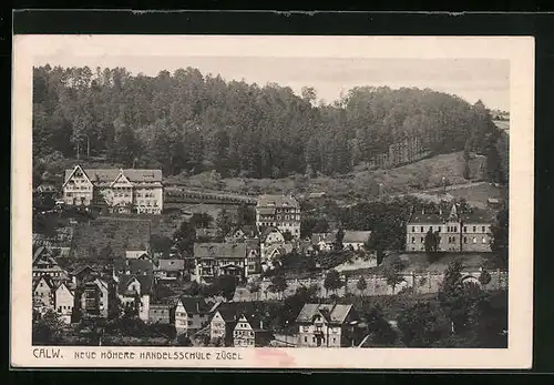 AK Calw, Neue höhere Handelsschule Zügel