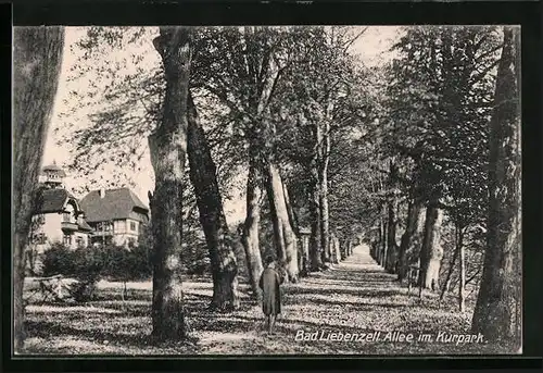 AK Bad Liebenzell, Alle im Kurpark mit Spaziergänger