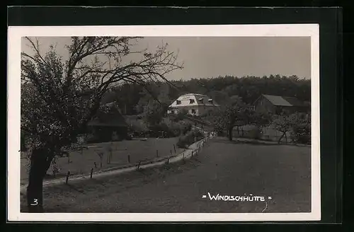 AK Weidling, Windischhütte mit Weide