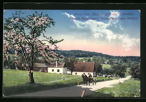 AK St. Andrä-W., Josefa Weidlinger`s Restauration und Meierei im Frühling