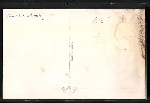 AK Wördern, Totalansicht