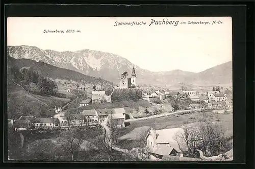 AK Puchberg, Ortsansicht mit Schneeberg