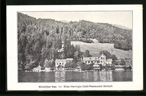 AK Dellach, Elise Herrings Café-Restaurant vom See aus gesehen