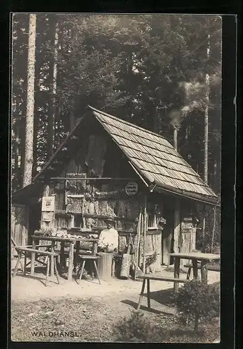 AK Mariazell, Waldhansl mit Hütte