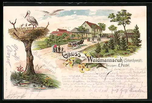 Lithographie Erfurt in Thür., Gasthof Waidmannsruh, Storchnest