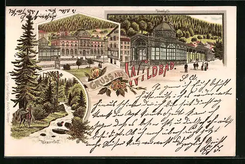 Lithographie Wildbad, Kgl. Karlsbad, Trinkhalle, Wasserfall