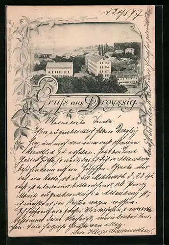 AK Droyssig, Ortsansicht mit Häusern