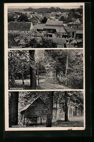 AK Eggenstedt /Magedeburg, Teilansicht mit Waldeingang und Wildfütterung