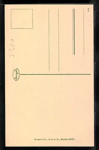 AK Stralsund, Schillerstrasse u. Johanneskirche