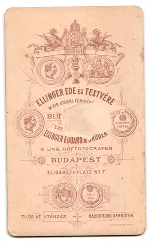 Fotografie Ellinger Ede es Testvere, Budapest, Elisabethplatz 7, Bürgerliche Dame mit Haube