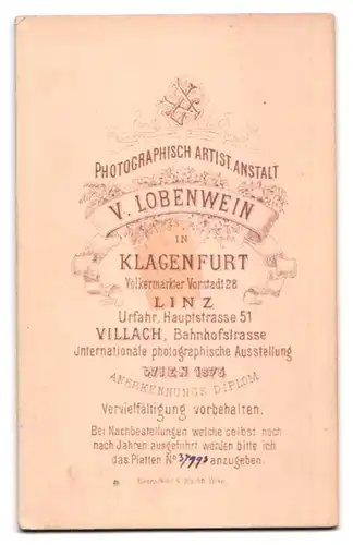 Fotografie V. Lobenwein, Klagenfurt, Völkermarkter Vorstadt 28, Junge Dame mit langen Haaren und Ansteckblume