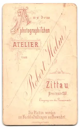 Fotografie Robert Halm, Zittau, Breitestr. 130, Bürgerliche Dame in hübscher Kleidung