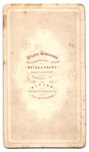 Fotografie Julius Schlegel, Zittau, Ludwigsstr. 507 Ecke der Promenade, Hübscher Knabe im Anzug mit Fliege