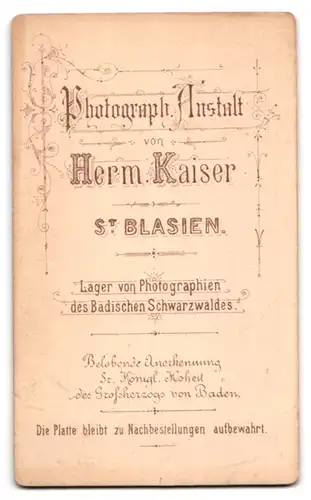 Fotografie Herm. Kaiser, St. Blasien, Bürgerliche Dame in hübscher Kleidung