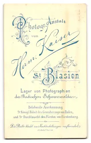 Fotografie Herm. Kaiser, St. Blasien, Junger Herr im Anzug mit Fliege