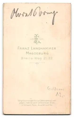Fotografie Franz Langhammer, Magdeburg, Breite-Weg 21-22, Bürgerlicher Herr im Anzug mit Schnauzbart