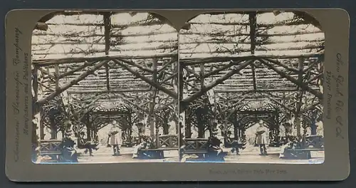 Stereo-Fotografie American Stereoscopic Co., New York / NY, Ansicht New York City / NY, Rustic Arber in Central Park