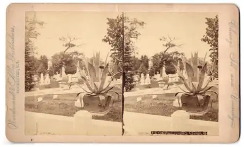 Stereo-Fotografie Woodward Albee, Rochester / NY, Ansicht Chicago, Blick auf den Graceland Cemeterey, Friedhof