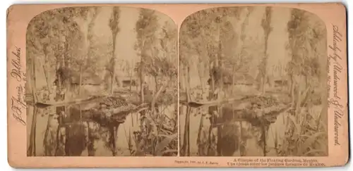 Stereo-Fotografie J. F. jarvis, Washington D.C., Ansicht Mexico City, A Flimpse of the Floating Gardens