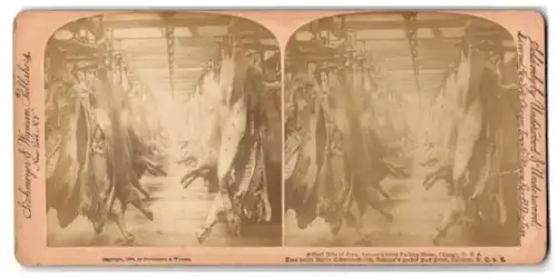 Stereo-Fotografie Strohmeyer & Wyman, New York, Ansicht Chicago / IL, Half Mile of Pork, Armours Great Packing House