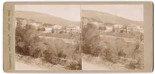 Stereo-Fotografie P. Pfeiffer, Ansicht Bessenbach, Villen im Ortsteil Steiger, Aufgang zum Schlachtfeld