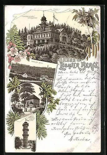 Lithographie Löbau, Honigbrunnen-Restaurant auf dem Löbauer Berge, König Friedrich August Turm