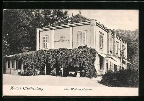 AK Gleichenberg, Kurgäste vor der Villa Weihnachtbaum