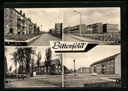 AK Bitterfeld, Willi-Pönicke-Strasse, Polytechnische Oberschule und Anton-Saefkow-Strasse