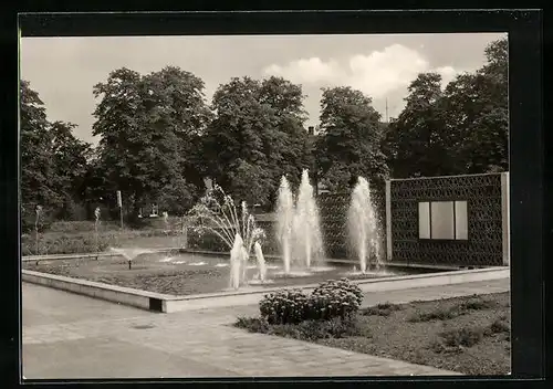 AK Bitterfeld, Springbrunnen mit Stadtpark