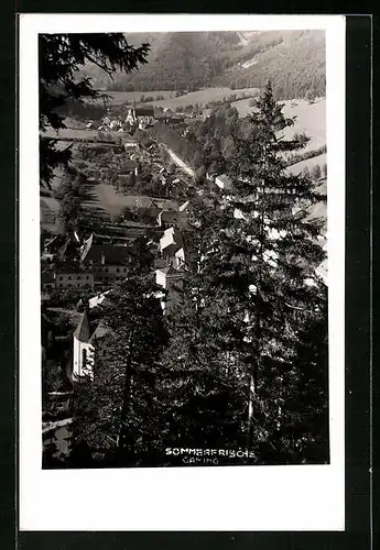 AK Caming, Blick auf den Ort aus der Vogelschau