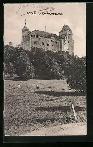 AK Veste Liechtenstein, Blick auf die Veste