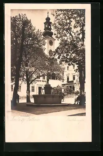 AK Mödling, Brunnen vor dem Rathaus