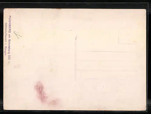 AK Puchberg, Ort aus der Vogelschau